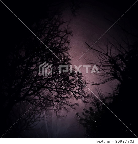 Folk Horror Inspired Images Of Trees And Skies. Folk Horror Inspired Images Of Trees And Skies. 89937503