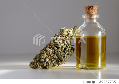 CBD oil with dry cannabis bud. Marihuana extract. 89937735