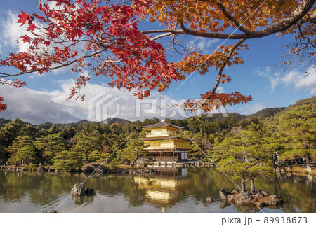 京都金閣寺 京都の紅葉名所 京都の観光スポット もみじと金閣舎利殿 鹿苑寺 京都金閣寺 京都の紅葉名所 京都の観光スポット もみじと金閣舎利殿 鹿苑寺 89938673