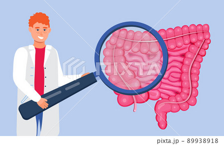 Gastroenterology concept vector. Large and small intestine doctors examine, treat dysbiosis. Gastroenterologist looks through at harmful bacteria. Gastroenterology concept vector. Large and small intestine doctors examine, treat dysbiosis. Gastroenterologist looks through at harmful bacteria. 89938918