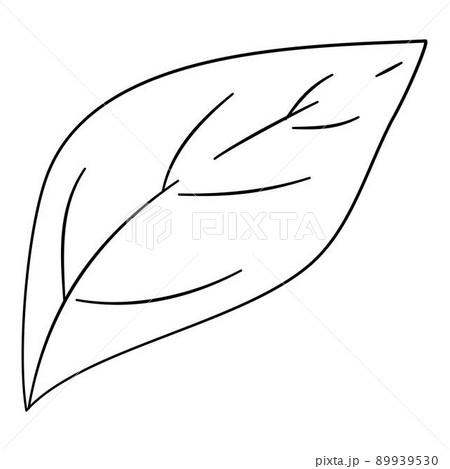 Pepper leaf icon outline, hand drawn vector. Green spicy 89939530