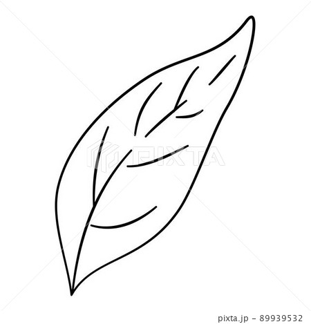 Pepper leaf icon outline, hand drawn vector. Green spicy 89939532