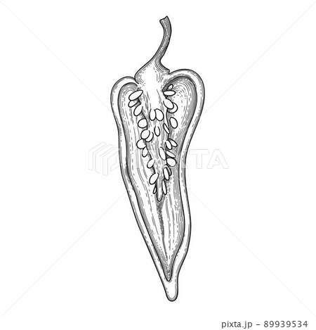 Eco pepper icon outline, hand drawn vector. Red cartoon 89939534