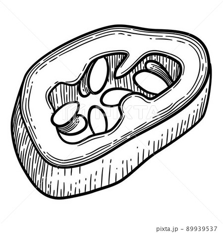 Pepper slice icon outline, hand drawn vector. Vegetable chili 89939537