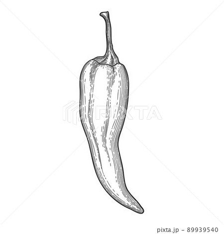 Eco pepper icon outline, hand drawn vector. Red cartoon 89939540