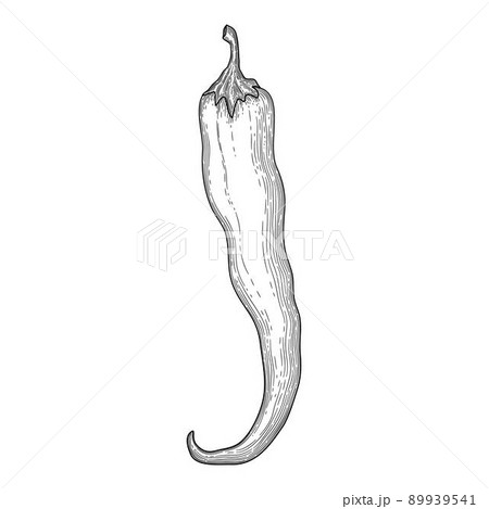 Eco pepper icon outline, hand drawn vector. Red cartoon 89939541