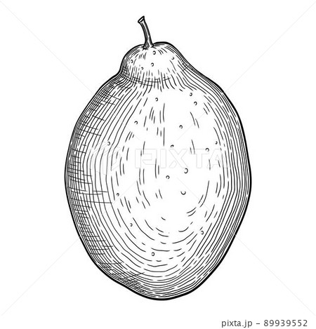 Fresh citrus icon outline, hand drawn vector. Orange food Fresh citrus icon outline, hand drawn vector. Orange food 89939552