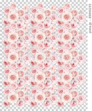 Rose 89940293