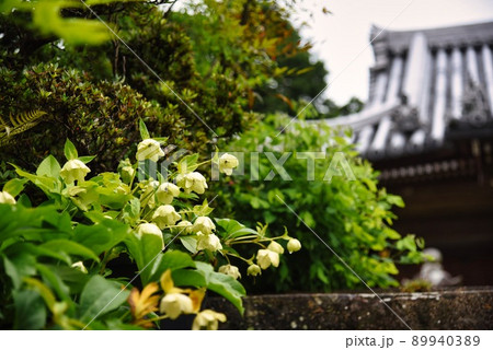 子安地蔵寺_華と屋根 子安地蔵寺_華と屋根 89940389