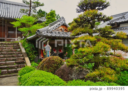 子安地蔵寺_松とお地蔵さん 子安地蔵寺_松とお地蔵さん 89940395