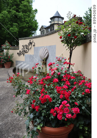 バラの花咲く「山手イタリア山庭園」 89940699