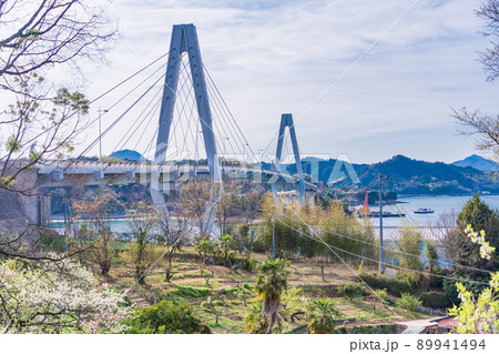 瀬戸内「ゆめしま海道」　桜咲く、弓削大橋 89941494