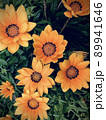 花 89941646