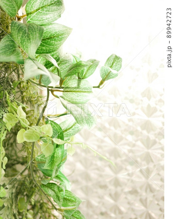 フェイクグリーンを窓辺に飾る【インテリア】 フェイクグリーンを窓辺に飾る【インテリア】 89942723