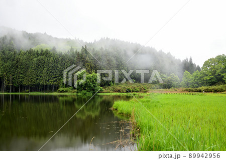 龍王ヶ淵　【奈良県宇陀市室生向渕】 89942956
