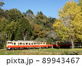 銀杏とキハ40 89943467