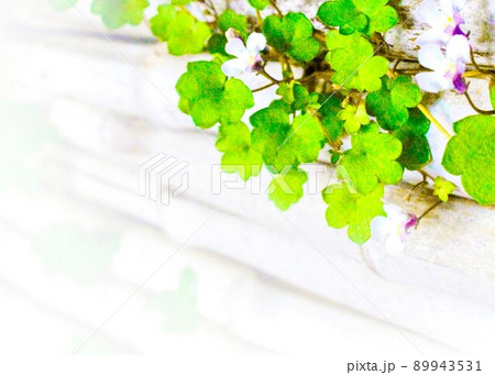 周りに咲く小さな小さな雑草と言われる草花たち 周りに咲く小さな小さな雑草と言われる草花たち 89943531