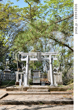八大竜王社(和泉葛城山山頂) 【和歌山県紀の川市】 八大竜王社(和泉葛城山山頂) 【和歌山県紀の川市】 89943606