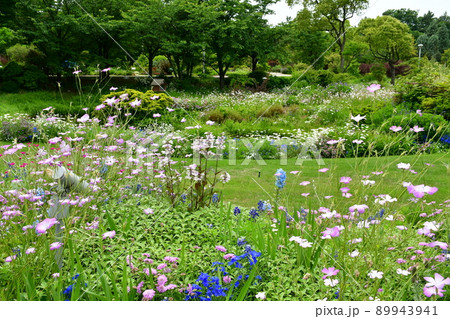 春の花園 花の公園 睡蓮の池 春の花園 花の公園 睡蓮の池 89943941