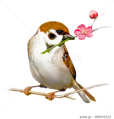水彩画 鳥 （花の背景を持つ水彩画の鳥 イラスト フリー素材