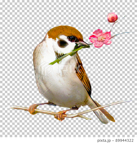 水彩画風のリアルな花をくわえた鳥のイラスト 水彩画風のリアルな花をくわえた鳥のイラスト 89944322