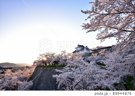 鶴山公園(津山城)の桜 鶴山公園(津山城)の桜 89944876