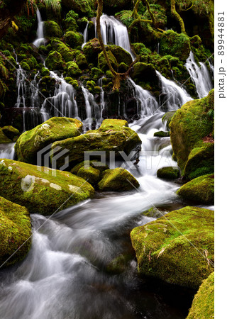 新緑の元滝伏流水 新緑の元滝伏流水 89944881