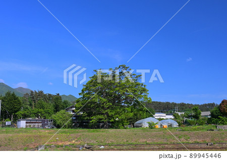 明野町の農村風景 89945446