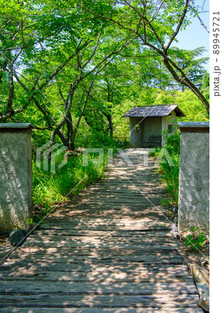 ローザンベリー多和田の散歩道 ローザンベリー多和田の散歩道 89945721