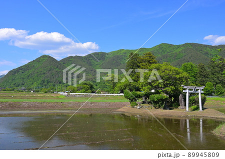 須玉町の伊勢神明 須玉町の伊勢神明 89945809