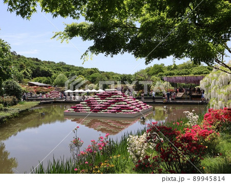 《杤木県・足利フラワーパーク》5月公園内の風景 《杤木県・足利フラワーパーク》5月公園内の風景 89945814