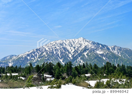 5月の鍬崎山 5月の鍬崎山 89946042