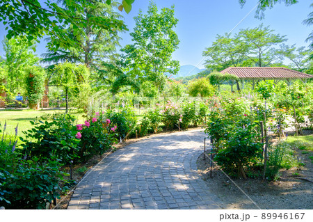 ローザンベリー多和田 バラの庭園 ローザンベリー多和田 バラの庭園 89946167