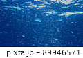 ダイバーが吐いた気泡 89946571