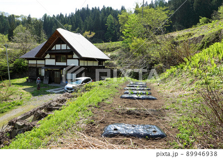 苗を植えた畑と古民家、裏山はスギの樹林　福島県只見町 89946938