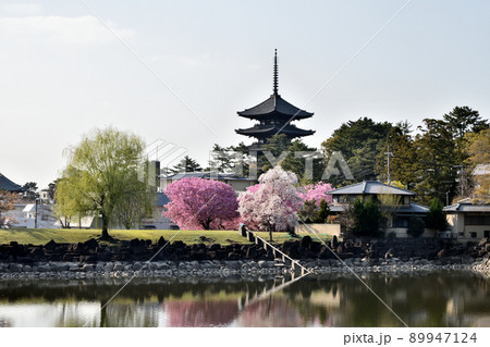 興福寺(五重塔)　【奈良県奈良市】 89947124