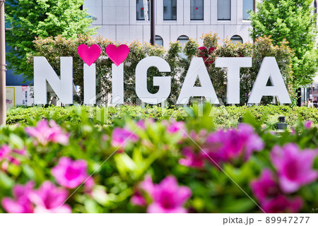 NIIGATA NIIGATA 89947277