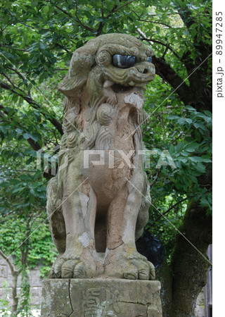 美保神社の狛犬(阿形像)（島根県松江市美保関町） 89947285