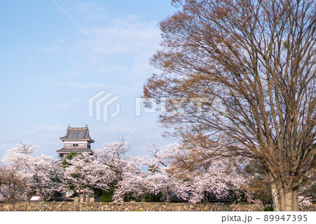 松本城の桜 89947395