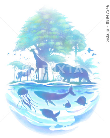 陸と海の大自然イメージ（白背景） 89947546