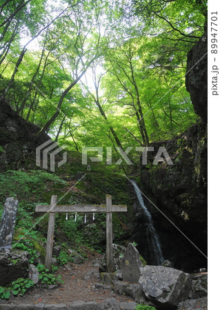 5月 青梅261綾弘の滝・御岳山 5月 青梅261綾弘の滝・御岳山 89947701