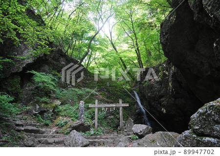 5月　青梅262綾弘の滝･御岳山 89947702