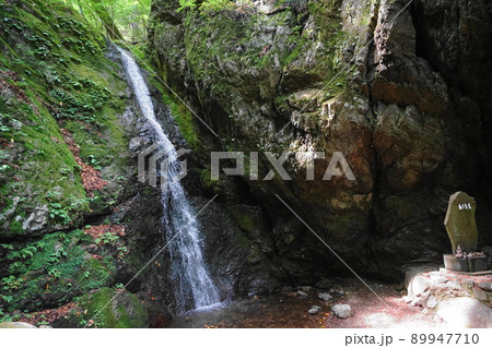 5月　青梅268綾弘の滝･御岳山 89947710