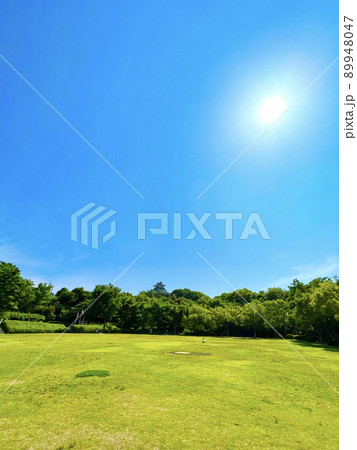 快晴の青空と夏の太陽に鮮やかなグリーンの芝生の広場 快晴の青空と夏の太陽に鮮やかなグリーンの芝生の広場 89948047