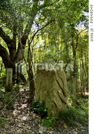交野山石仏の道(弥勒仏坐像石仏)  【大阪府交野市】 89948049
