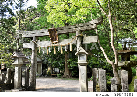 磐船神社の入口鳥居　【大阪府交野市】 89948181