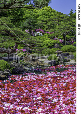 由志園 由志園 89948385