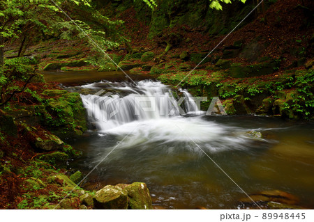 琴滝(赤目四十八滝)   【三重県名張市】 89948445