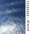 羊雲 89948502