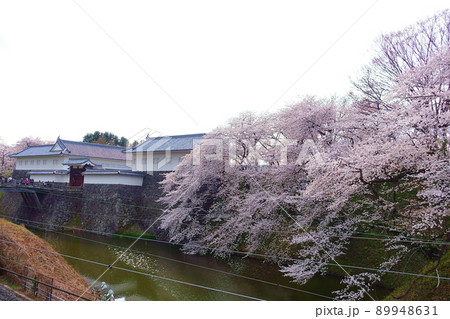 桜　サクラ　さくら　霞城公園 89948631